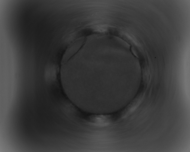 X0000099990229200806061551