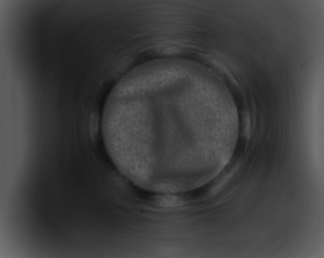 X0000099990230200806061551