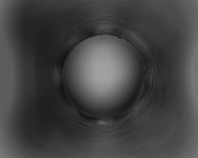 X0000099990232200806061551