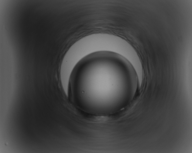 X0000099990233200806061551