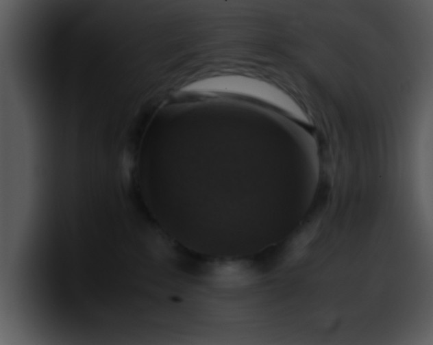 X0000099990235200806061551