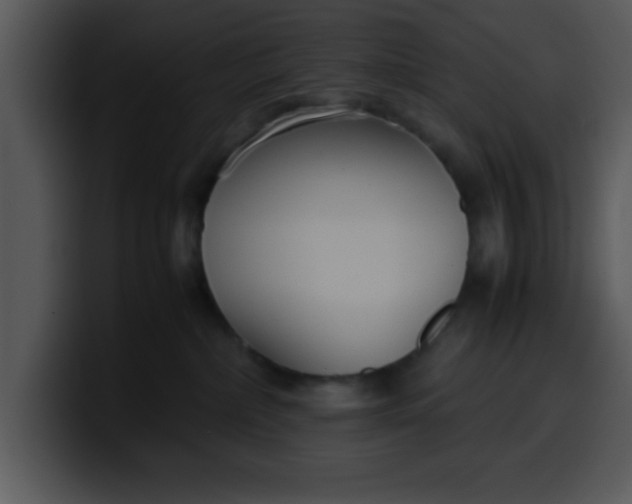 X0000099990236200806061551