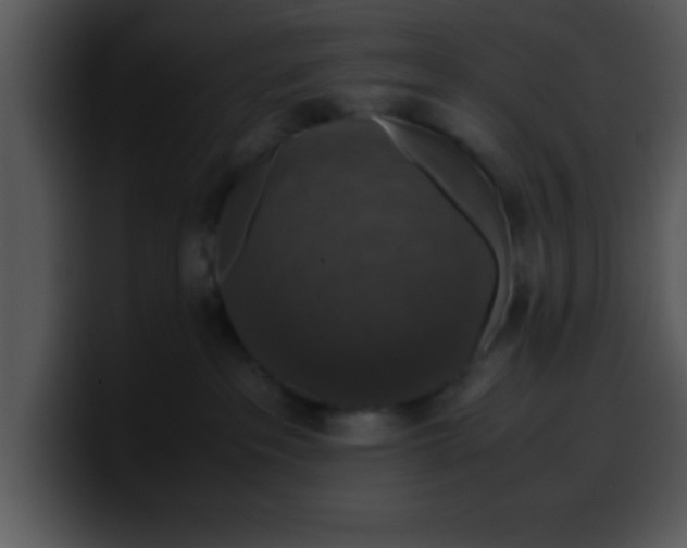 X0000099990237200806061551