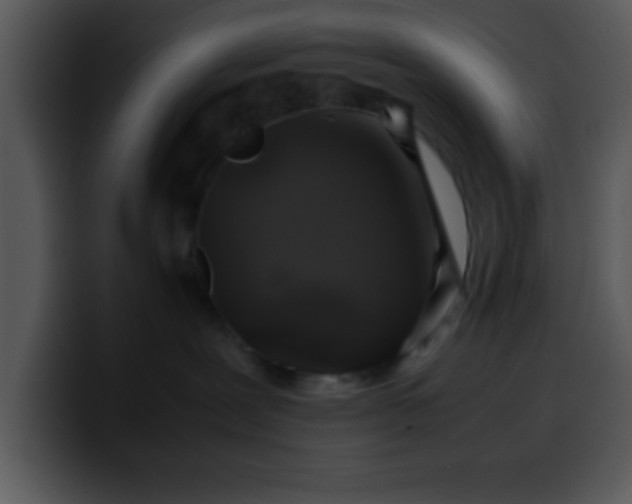 X0000099990239200806061551