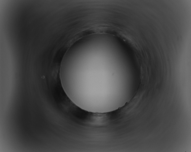 X0000099990240200806061551