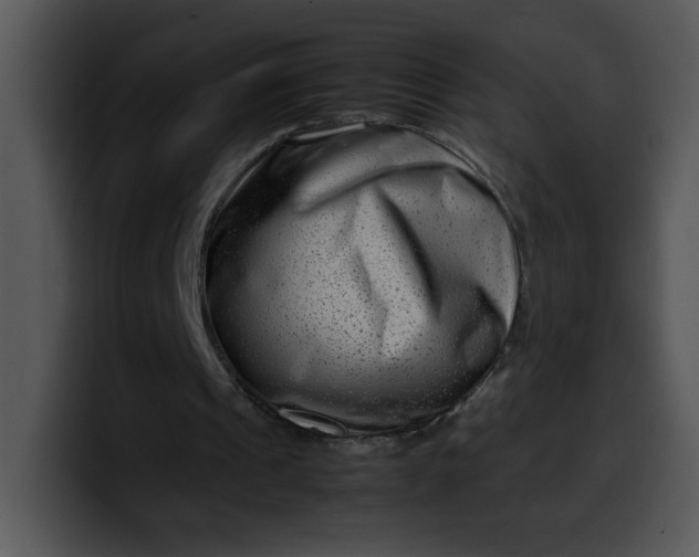 X0000099990241200806061550