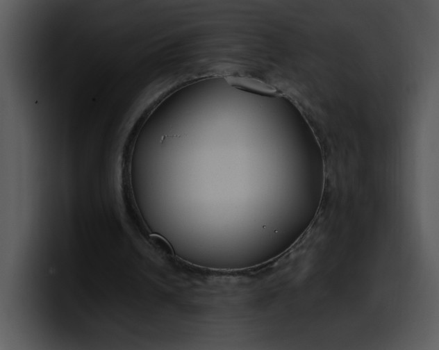 X0000099990242200806061550