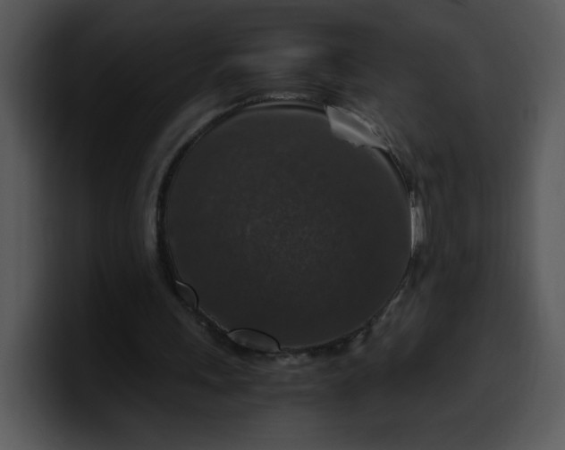 X0000099990243200806061550