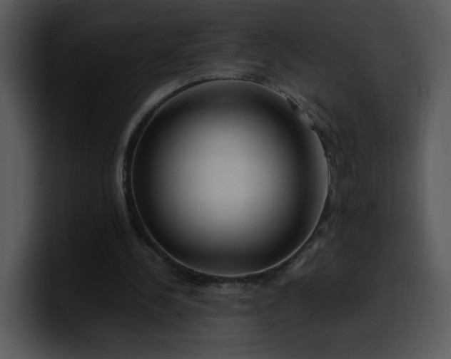 X0000099990244200806061550