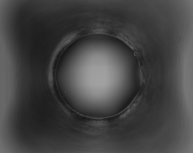 X0000099990245200806061550