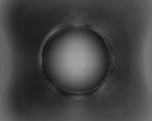 X0000099990246200806061550