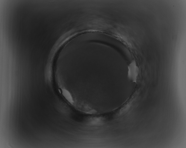 X0000099990247200806061550