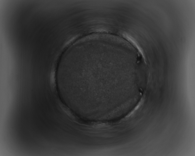 X0000099990249200806061550