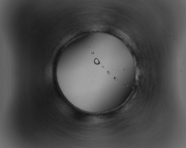 X0000099990250200806061550