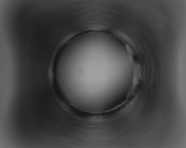 X0000099990252200806061550