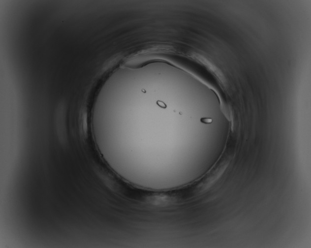 X0000099990253200806061550