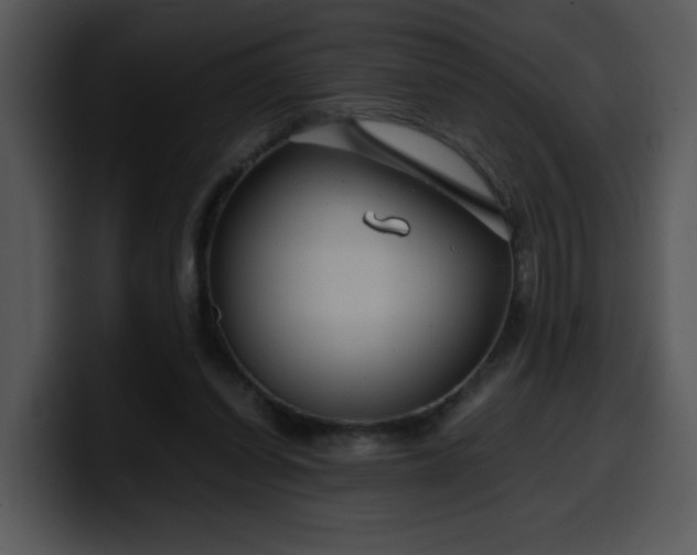 X0000099990254200806061550