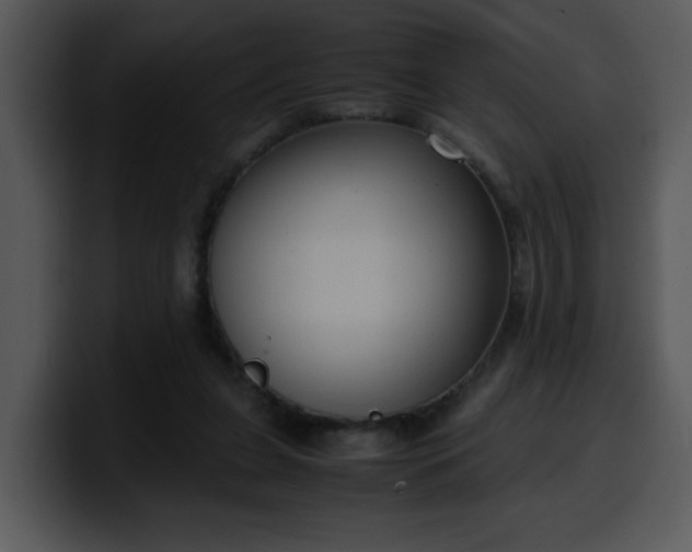 X0000099990255200806061550