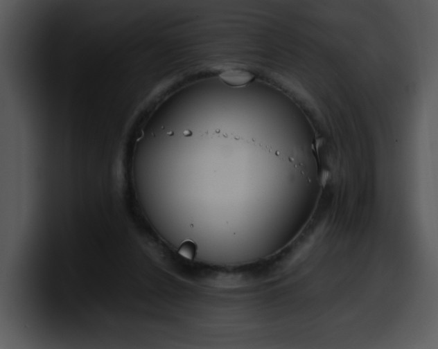 X0000099990256200806061550