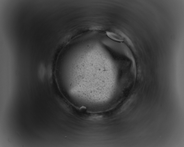 X0000099990257200806061550