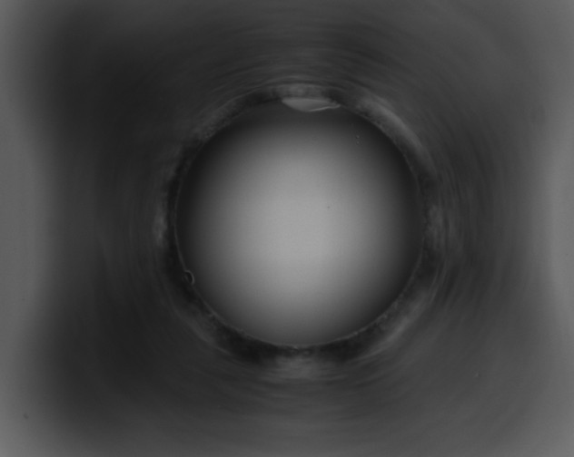 X0000099990259200806061550