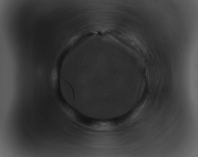 X0000099990260200806061550