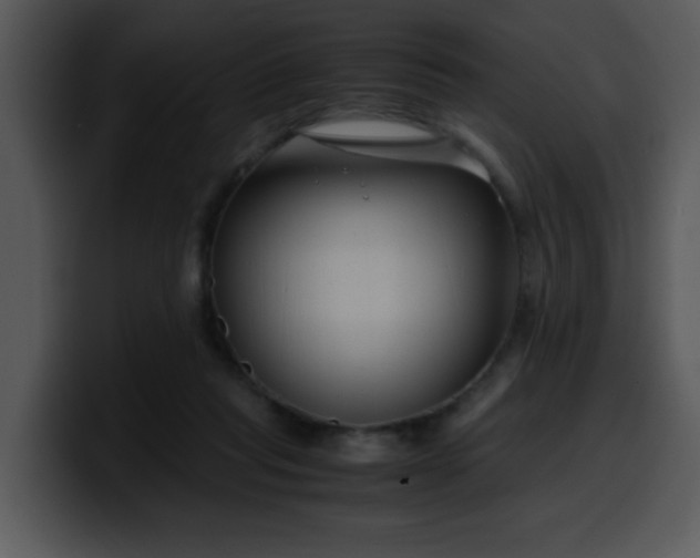 X0000099990261200806061550