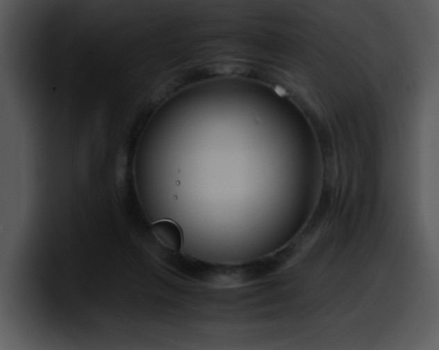 X0000099990263200806061550