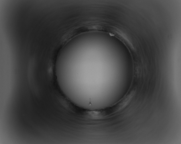 X0000099990265200806061550