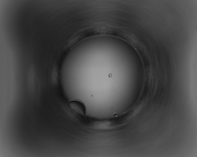 X0000099990266200806061550