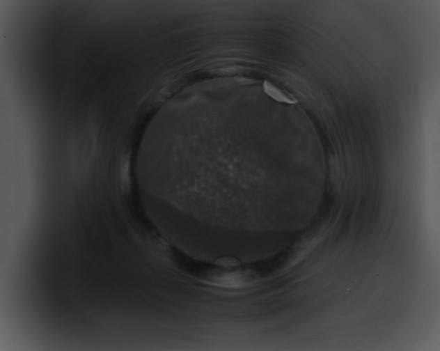 X0000099990267200806061550