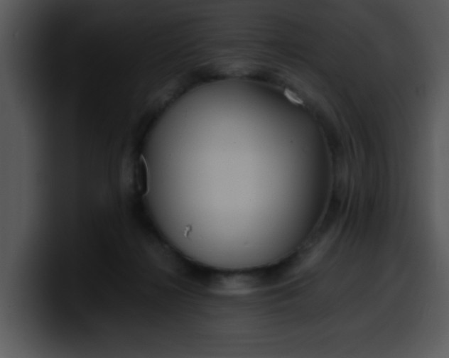 X0000099990268200806061550