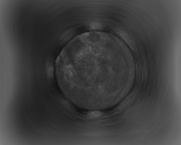 X0000099990269200806061550