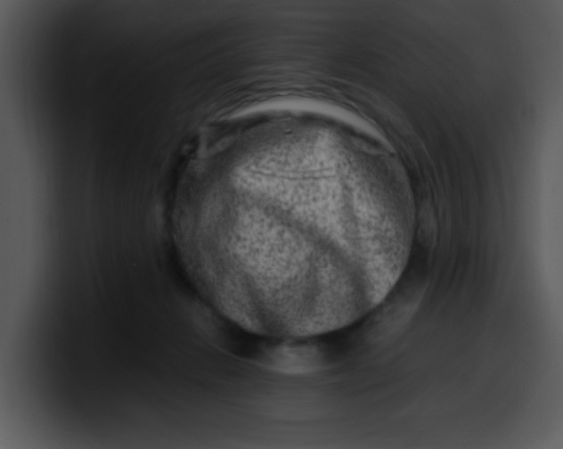 X0000099990270200806061550