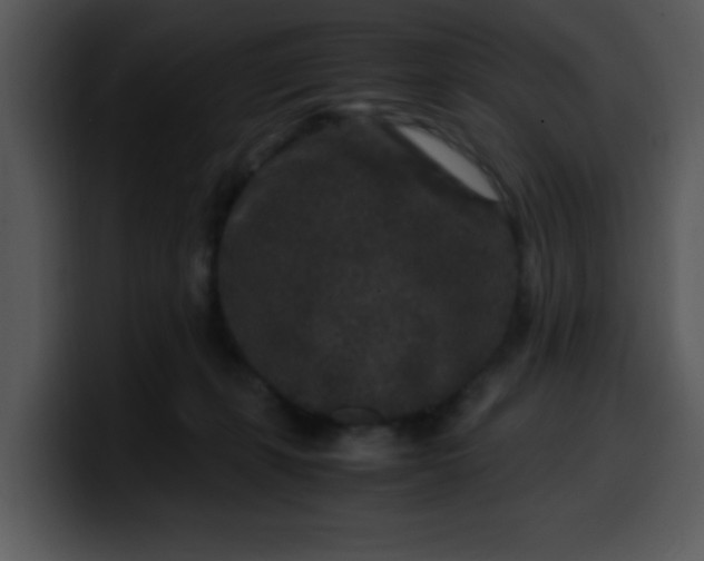 X0000099990271200806061550