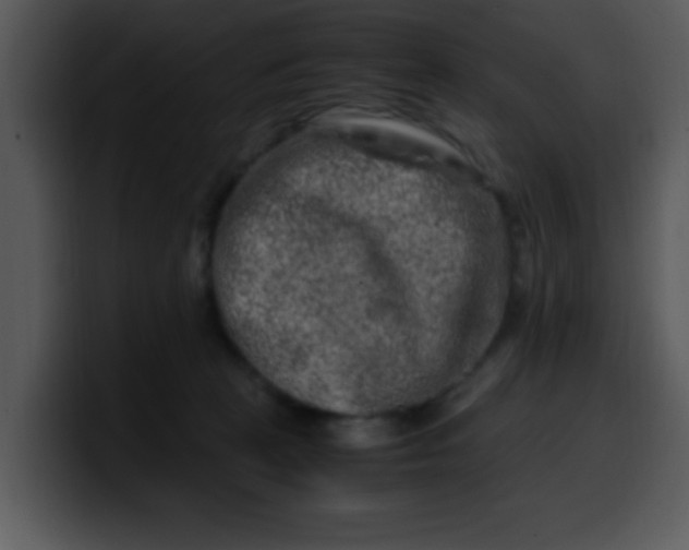 X0000099990273200806061550