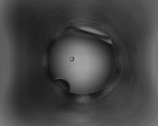 X0000099990274200806061550