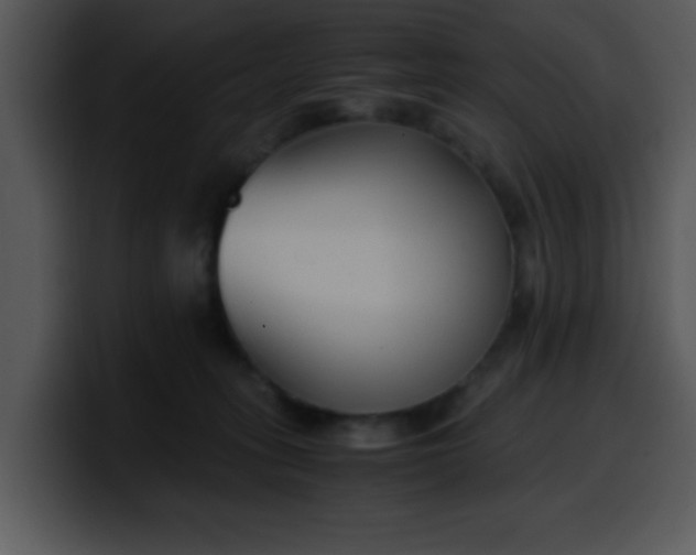 X0000099990275200806061550