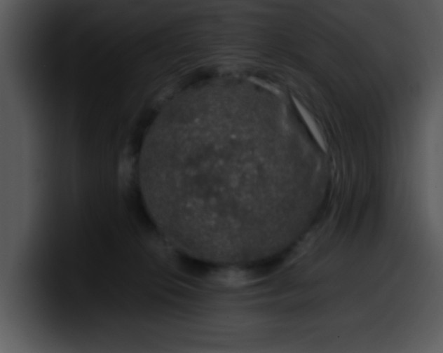 X0000099990276200806061550