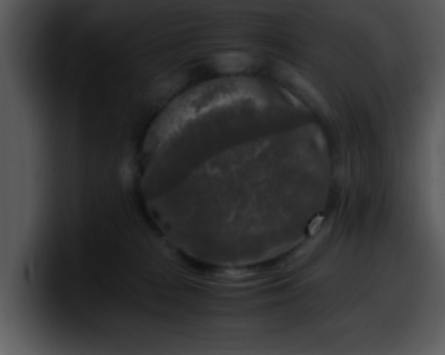 X0000099990277200806061550