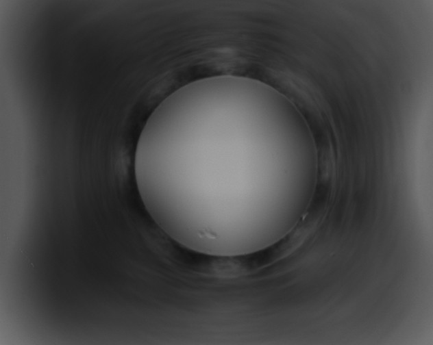 X0000099990279200806061550