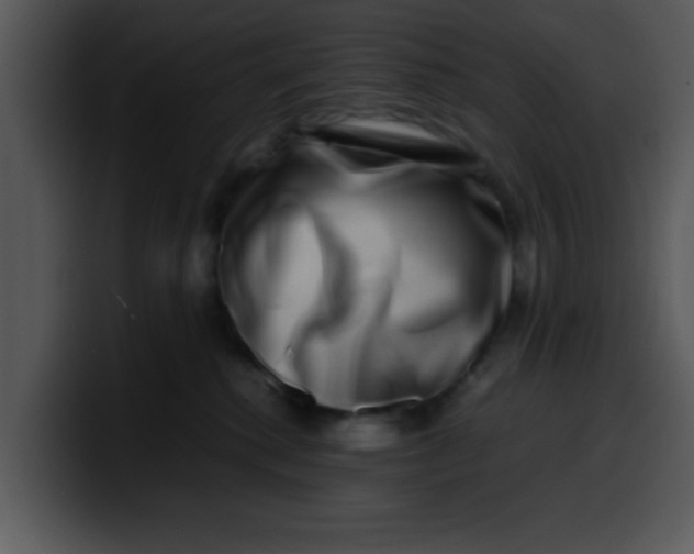 X0000099990280200806061550