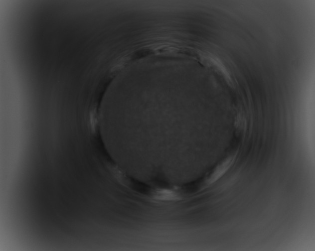 X0000099990285200806061550