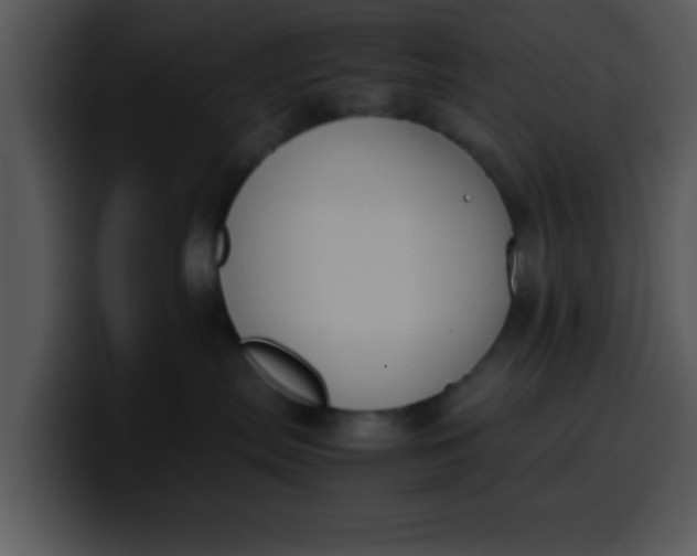 X0000099990287200806061550