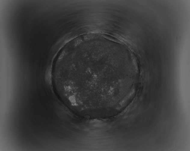 X0000099990290200806061550