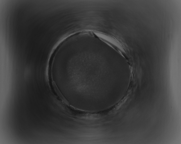 X0000099990292200806061550