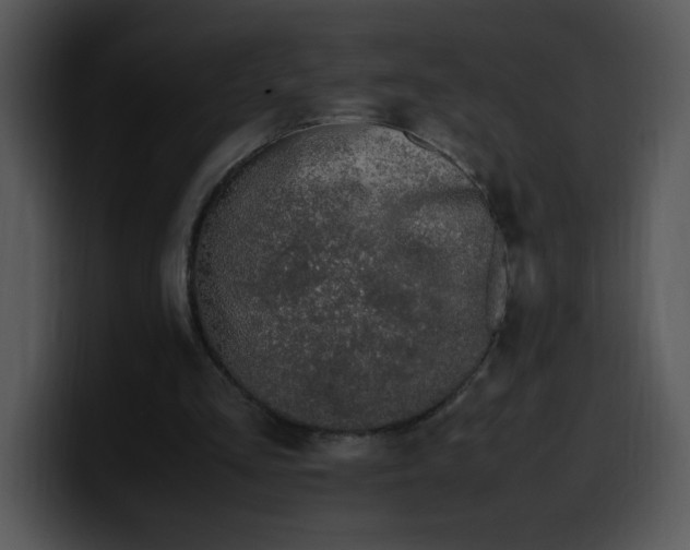 X0000099990293200806061550