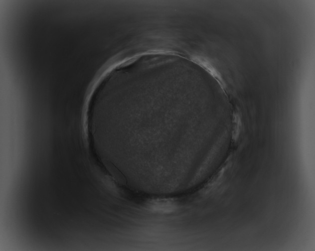 X0000099990296200806061550