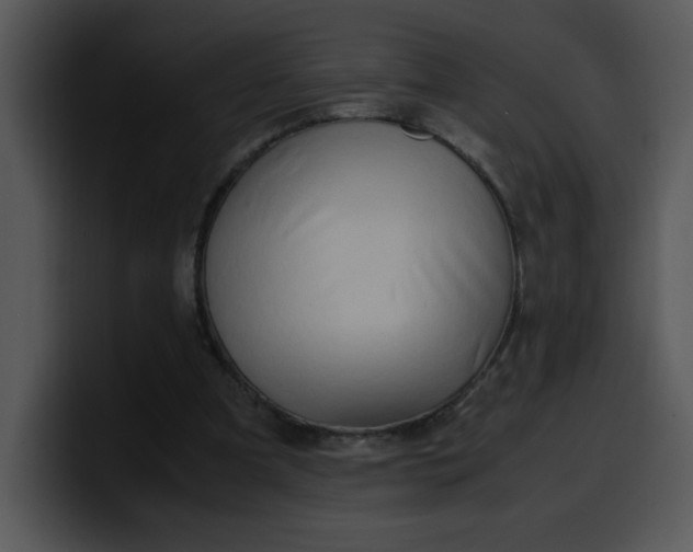 X0000099990297200806061550