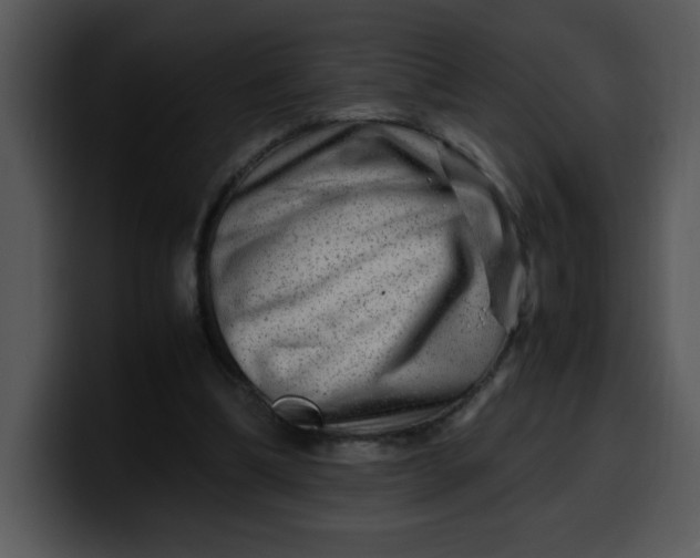 X0000099990298200806061550